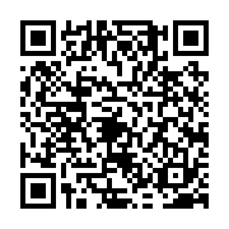 QR code for VKT2333