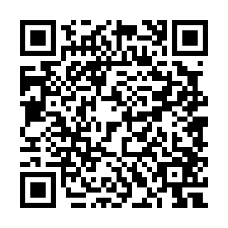 QR code for VLD0463