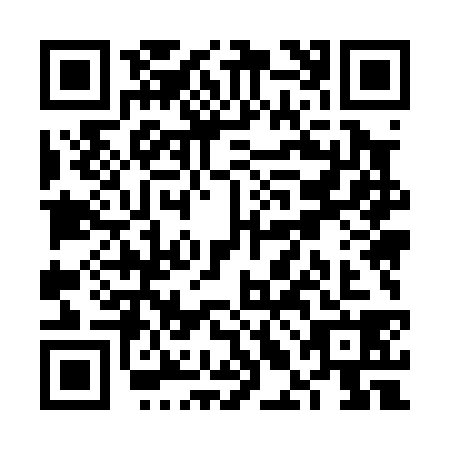 QR code for VLM0387