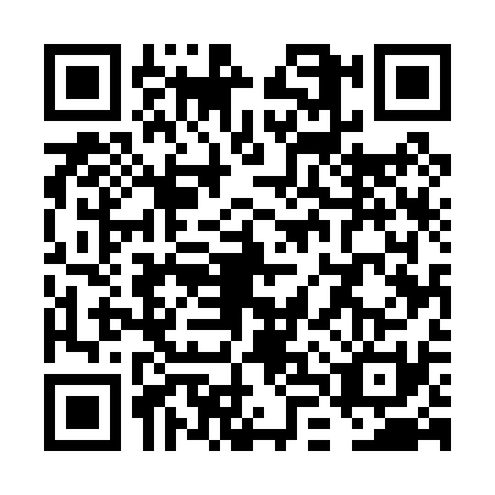 QR code for VLU0319