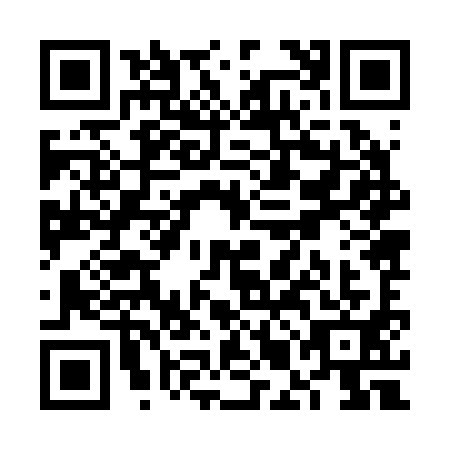QR code for VMJ2919