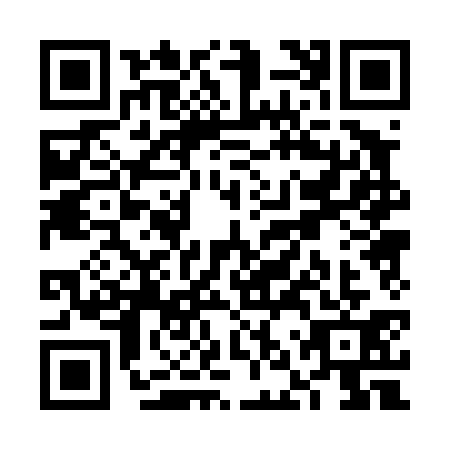 QR code for VNP4316