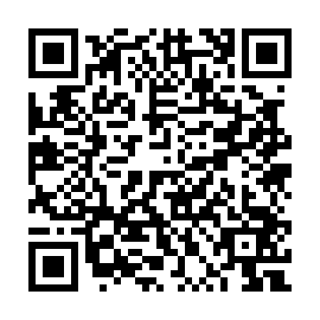 QR code for VPK0438