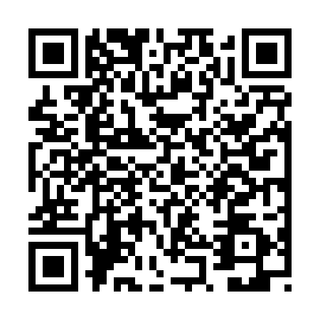 QR code for VPV4029