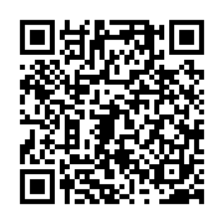 QR code for VPX2733