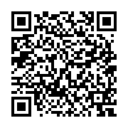 QR code for VQS2924