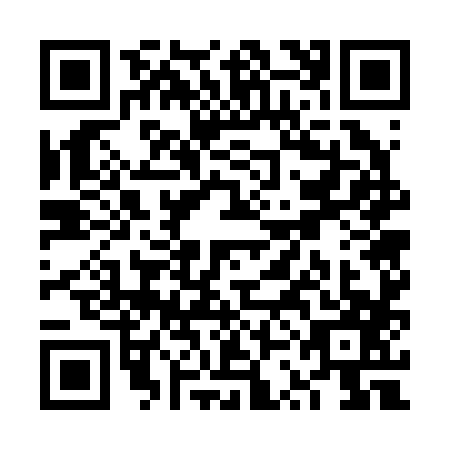 QR code for VSG2873