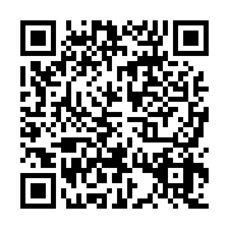 QR code for VSX0381