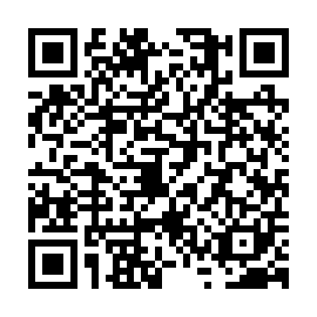 QR code for VSY2011