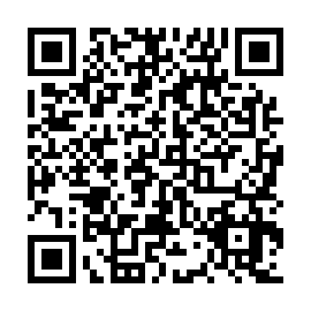 QR code for VWL1379