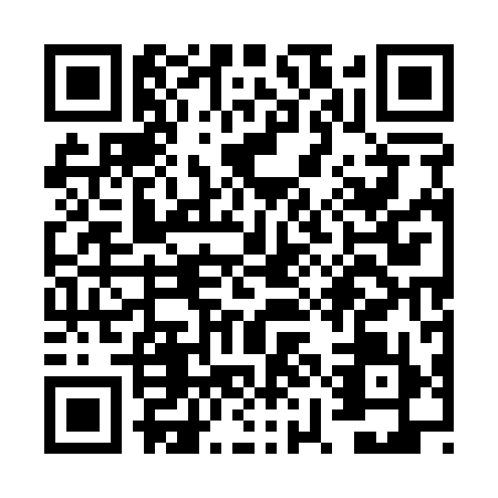 QR code for VYE1994