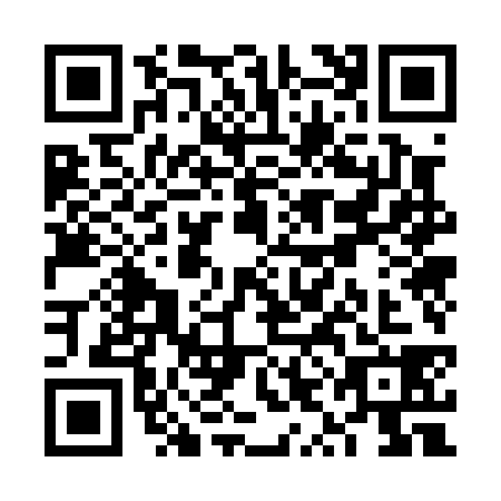 QR code for VYO0385
