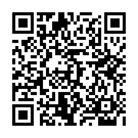 QR code for VYO0700