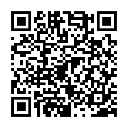 QR code for VYO3737