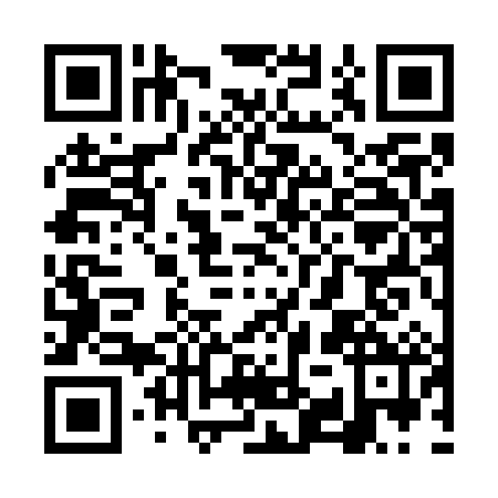 QR code for VYS7821