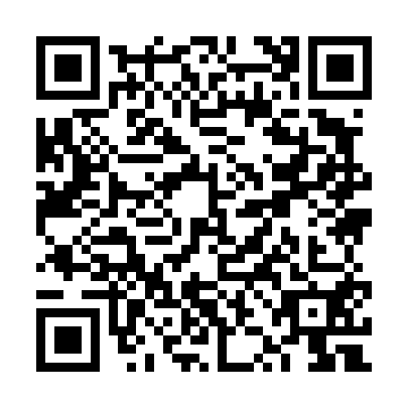 QR code for VZI4503