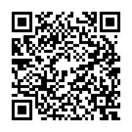 QR code for VZS2976