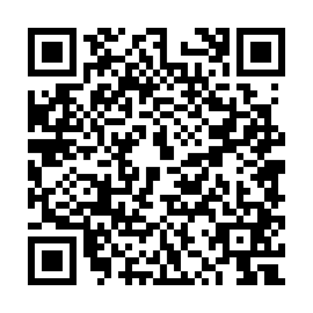 QR code for VZT3419