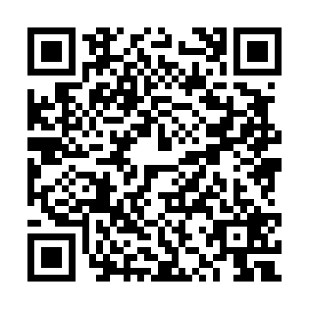 QR code for VZX4298