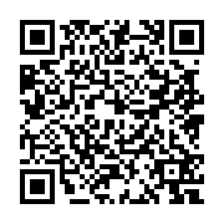 QR code for WBX0228
