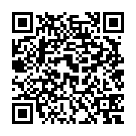 QR code for WDG4382