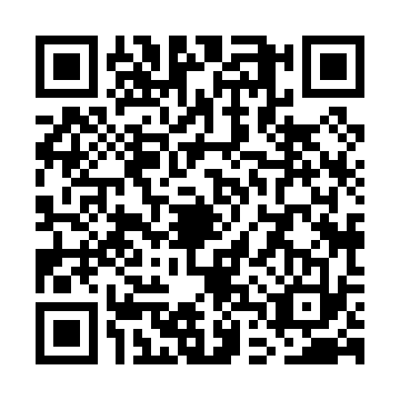 QR code for WDX0333