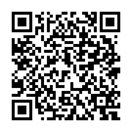 QR code for WDY6163