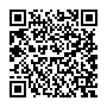 QR code for WFV8029