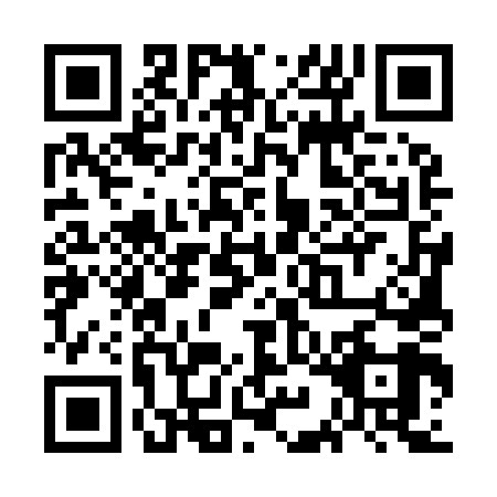 QR code for WIE9497