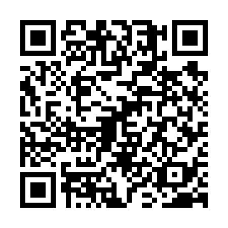 QR code for WIG6393