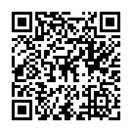 QR code for WII3575