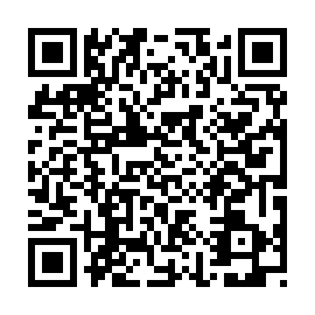 QR code for WIP9638