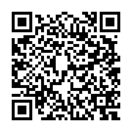 QR code for WIR4193