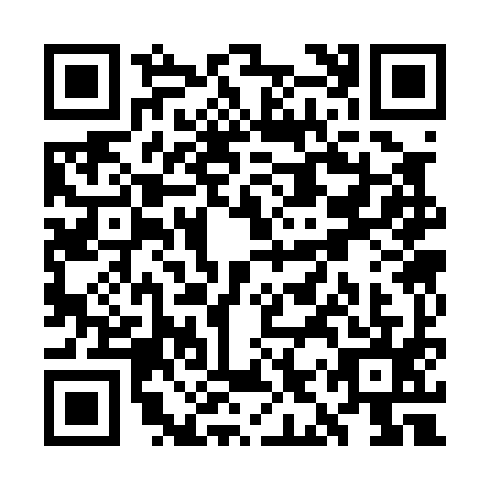 QR code for WIS0958