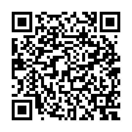 QR code for WJC2919