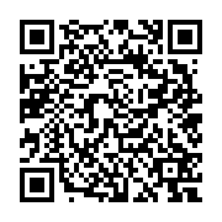 QR code for WJG6233