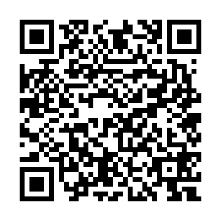 QR code for WKW6685