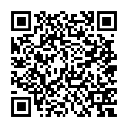 QR code for WNE0739