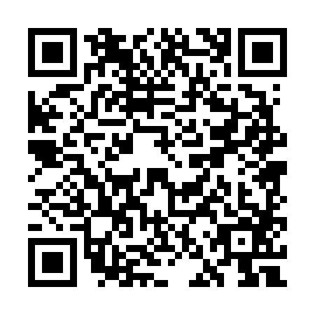 QR code for WNP6868