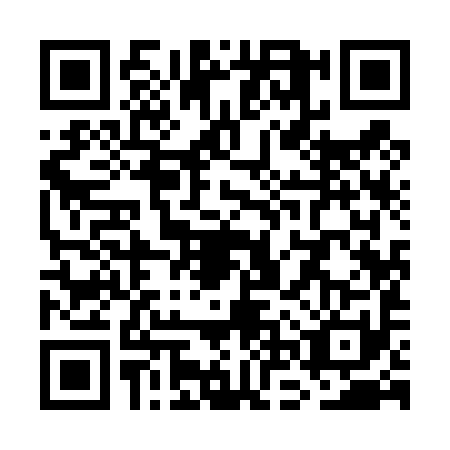QR code for WNY4919