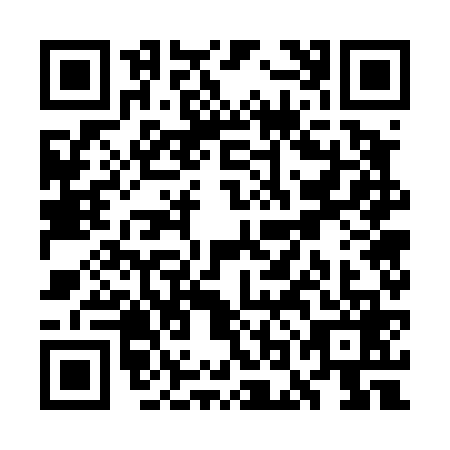 QR code for WOG4699