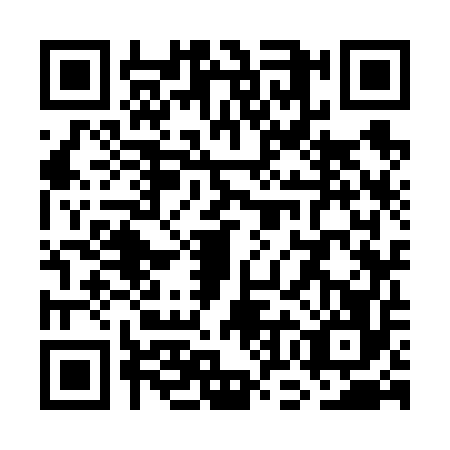 QR code for WOK6563