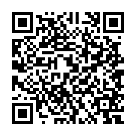 QR code for WPT0449