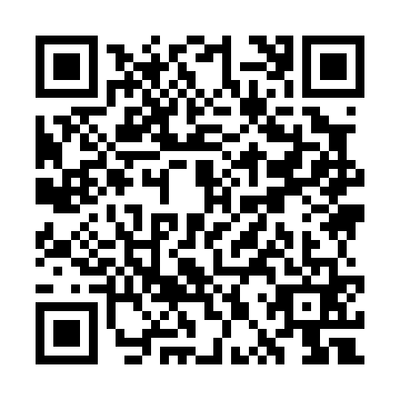 QR code for WPY0613
