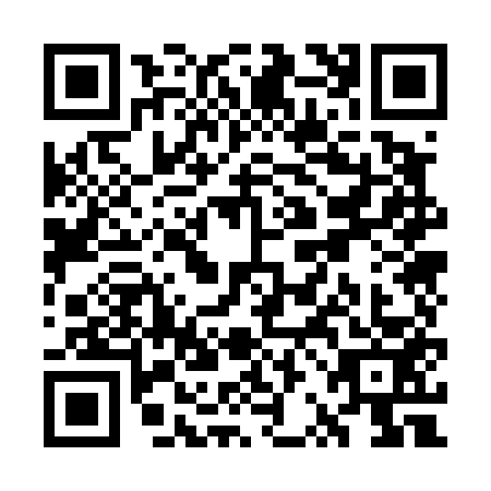 QR code for WRO4539