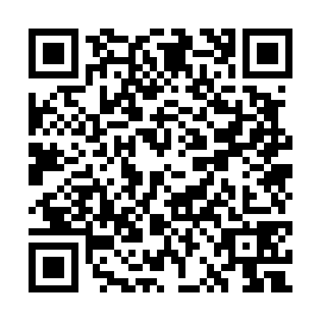 QR code for WRO4789