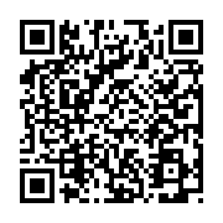 QR code for WSJ8385