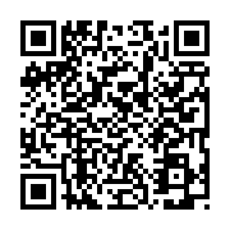 QR code for WSY4384