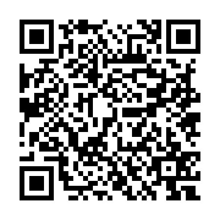 QR code for WYJ9378