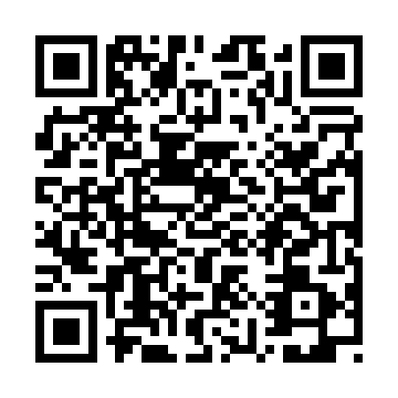 QR code for WYZ0419
